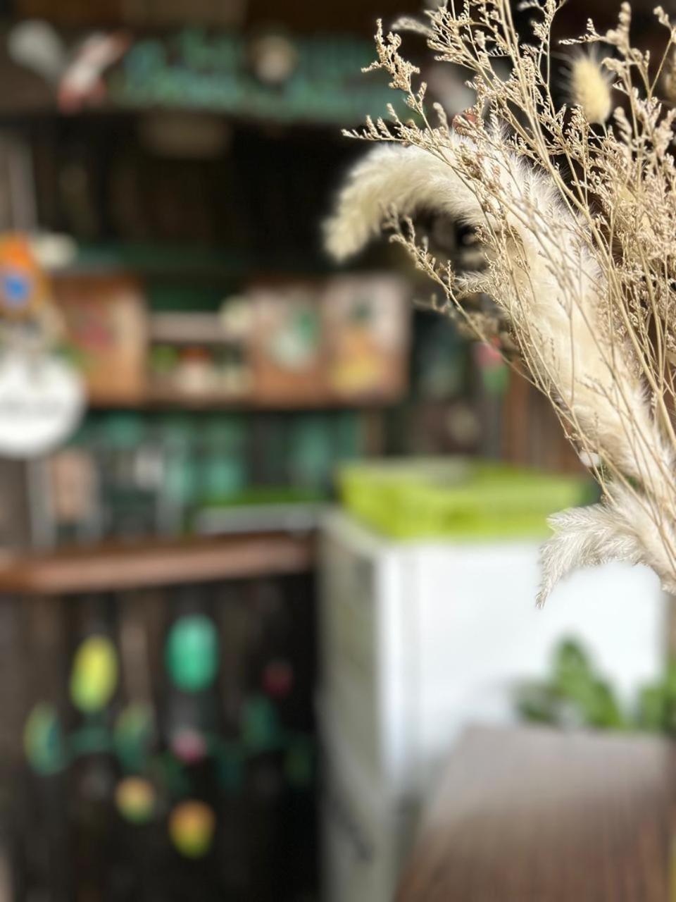 Hostel Rustico Marabi Tárcoles Dış mekan fotoğraf